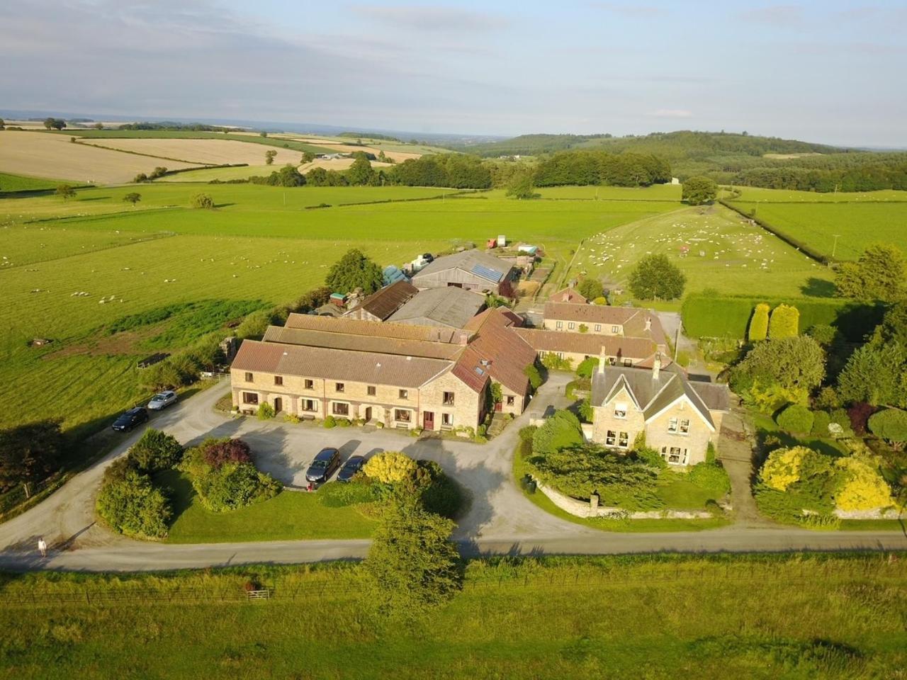 Phlomis Villa York Exterior foto