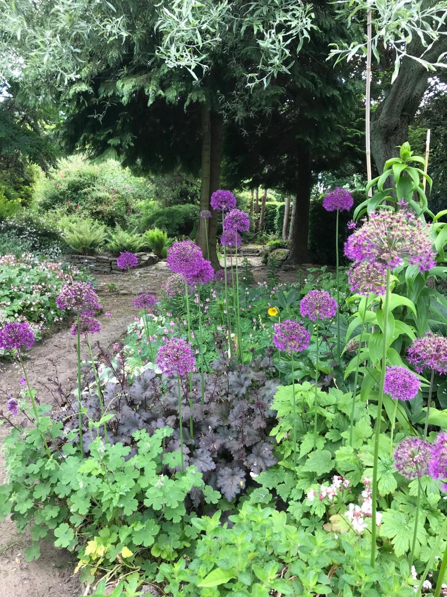 Phlomis Villa York Exterior foto